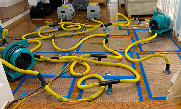 Professional Water Extraction technician working in Camp Nelson, CA